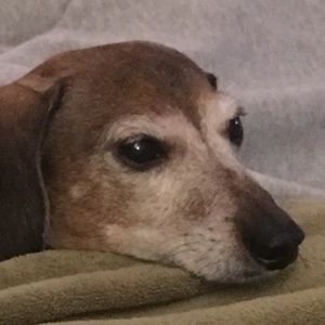 Meet your Posher, Richard